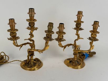 Paire de flambeaux en bronze doré et ciselé...