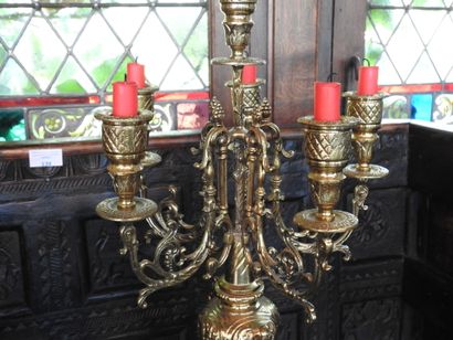 Pair of 6-light candelabra with 5 brass arms....