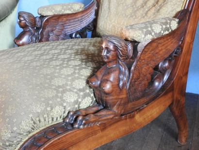 Carved mahogany armchair, sphinx-shaped armrests,...