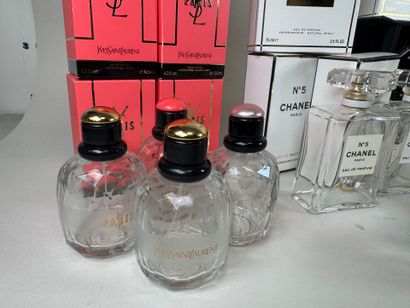 CHANEL, YVES SAINT LAURENT, JEAN PATOU.
Collection...