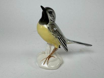 Karl ENS (1802-1865). Wagtail. Polychrome...