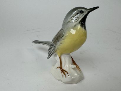 Karl ENS (1802-1865). Wagtail. Polychrome...