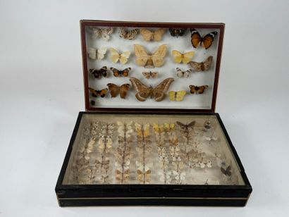 Two butterfly boxes containing approximately...