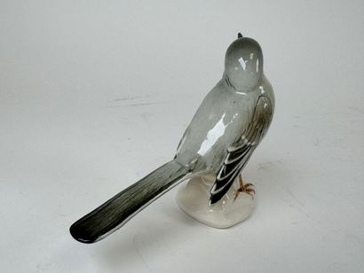 Karl ENS (1802-1865). Wagtail. Polychrome...