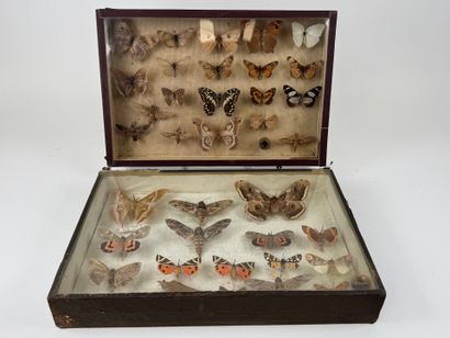 Two butterfly boxes containing approximately...