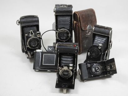 Set of six various bellows cameras, including...