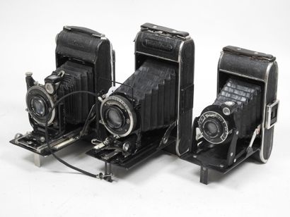 Set of six various bellows cameras, including...