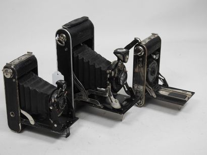 Set of six various bellows cameras including...