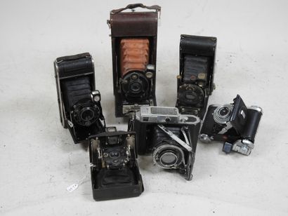 Set of six various bellows cameras including...