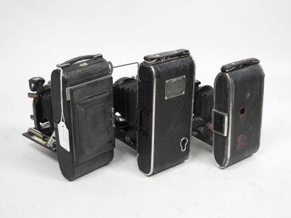 Set of six various bellows cameras, including...