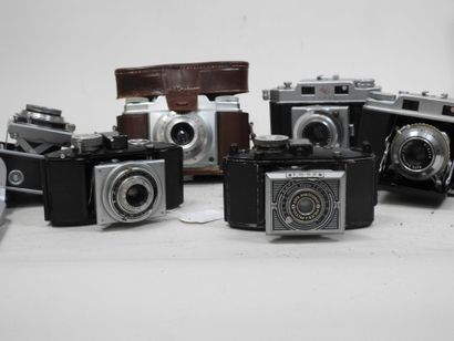 Set of a dozen 