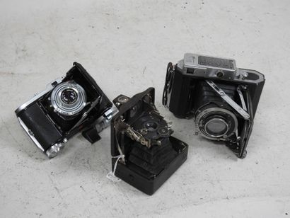 Set of six various bellows cameras including...