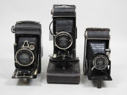 Set of six various bellows cameras, including...