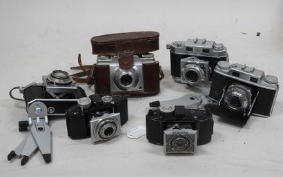 Set of a dozen 