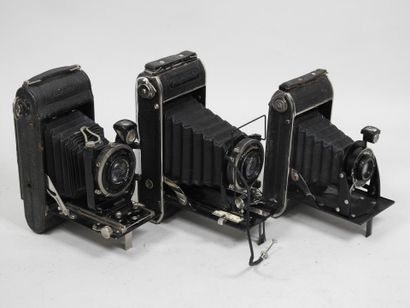 Set of six various bellows cameras, including...