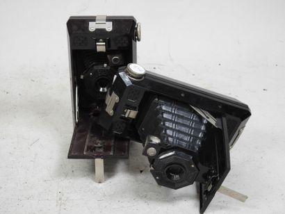 Set of six bellows cameras, including several...