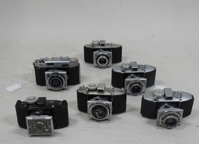 Set of a dozen 