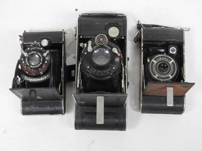 Set of six various bellows cameras including...