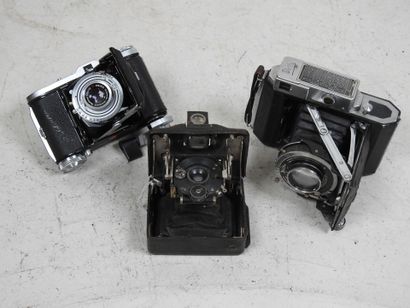 Set of six various bellows cameras including...