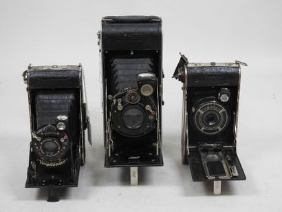 Set of six various bellows cameras including...