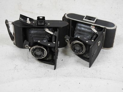 Set of four VOIGTLÄNDER bellows cameras:...