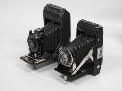 Set of six various bellows cameras including...