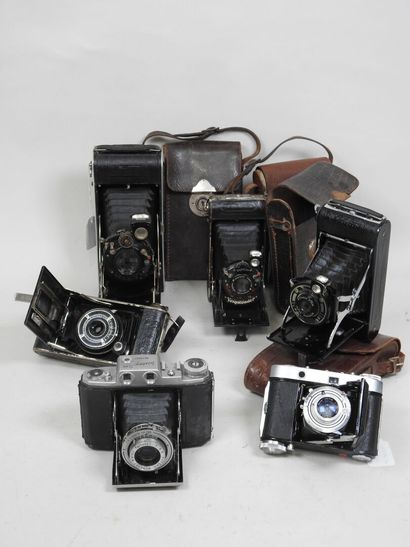 Set of six various bellows cameras including...