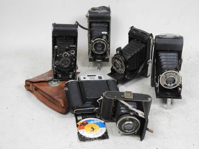 Set of six various bellows cameras including...