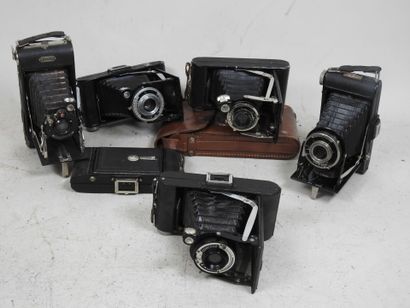Set of six LUMIERE bellows cameras, including...