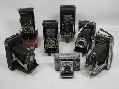 Set of six various bellows cameras including...