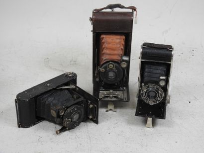 Set of six various bellows cameras including...