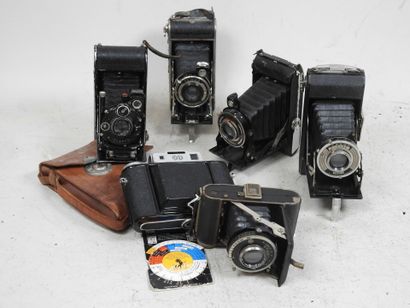 Set of six various bellows cameras including...