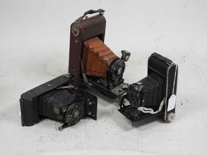 Set of six various bellows cameras including...