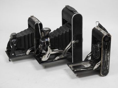 Set of six various bellows cameras including...