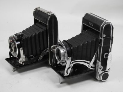 Set of six various bellows cameras including...