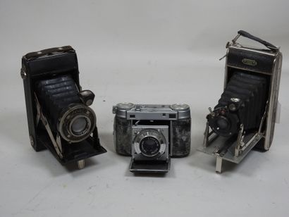 Set of six various bellows cameras including...