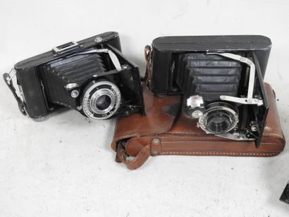 Set of six LUMIERE bellows cameras, including...