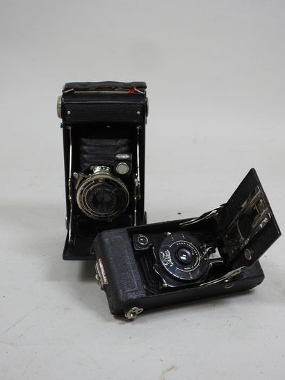 Set of six various bellows cameras, including...