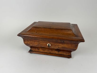 Wood and veneer chest in the shape of a sarcophagus.
Restoration...