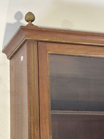 Wall-mounted display case in molded wood...