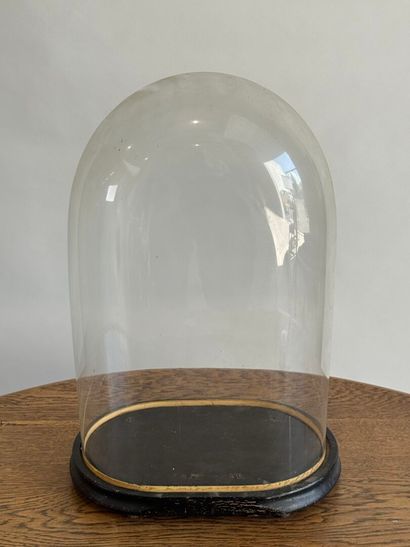 Domed glass globe, blackened wood base.
50.5...