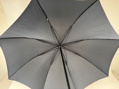 Sword cane umbrella.
L. 92.5 cm.