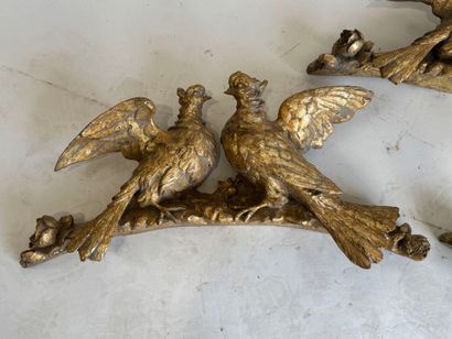 School, 20th century.
Hanging birds.
Three...