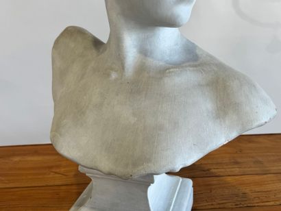 20th century school. 
Bust of a Diana the...