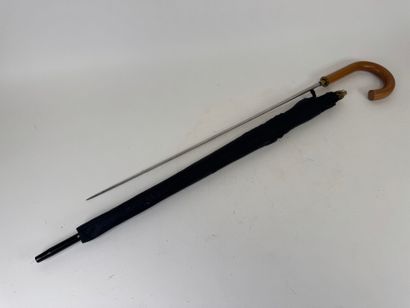 Sword cane umbrella.
L. 92.5 cm.