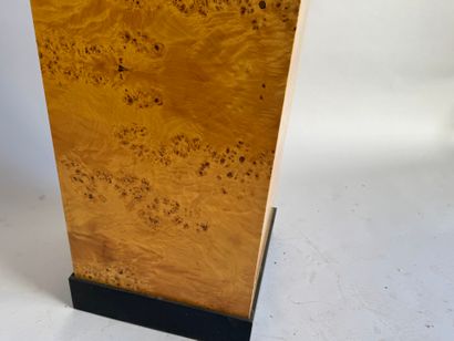 Square-section burr veneer sheath with blackened...