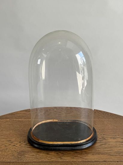 Domed glass globe, blackened wood base.
49...