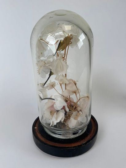 Lot including :
- a curved glass globe, the...