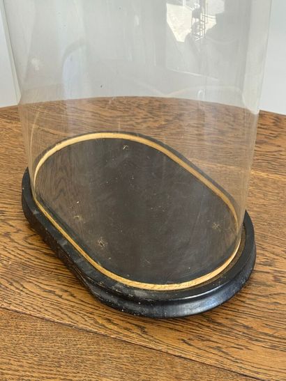 Domed glass globe, blackened wood base.
50.5...