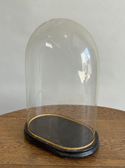 Domed glass globe, blackened wood base.
50.5...